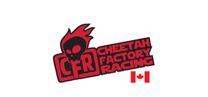 Cheetah Factory Racing