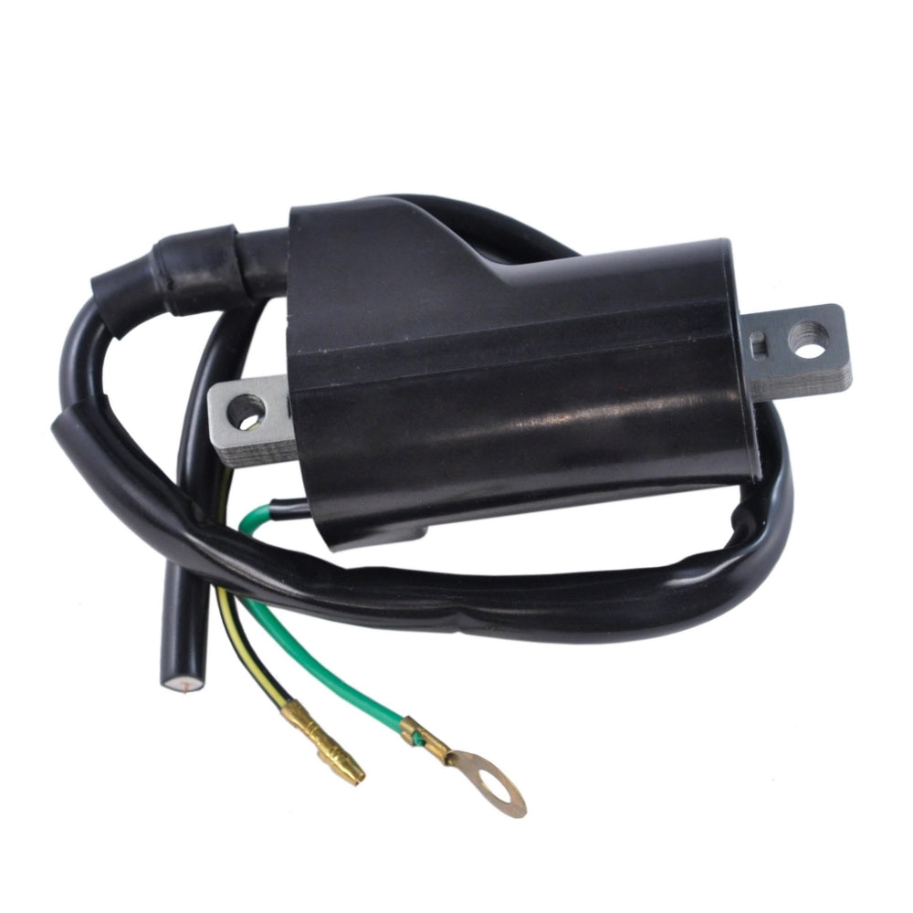 External Ignition Coil for Honda 289005