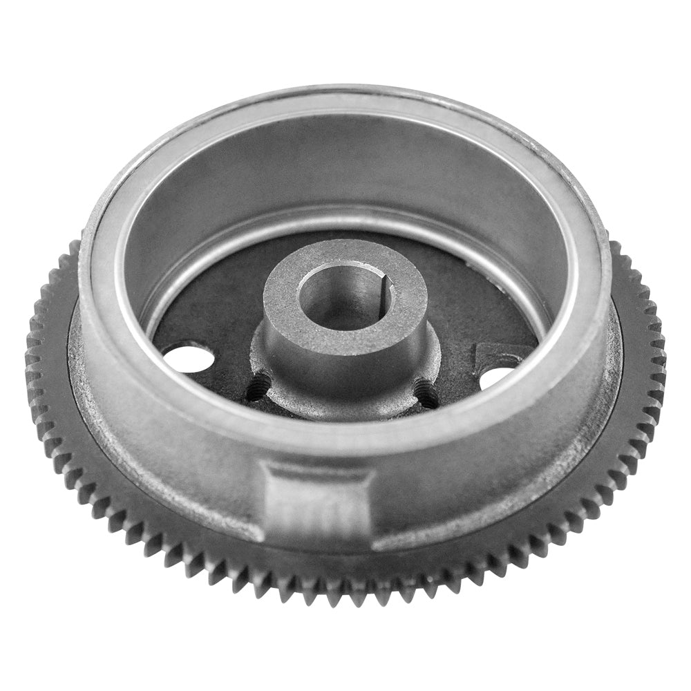 Flywheel for Polaris 289046
