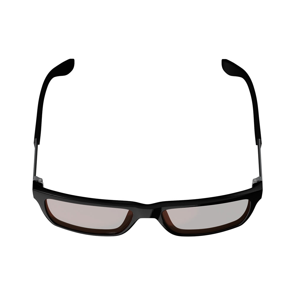 Leatt Theviz Sierra Polarized Sunglasses Black Silver Brown Lens 496019