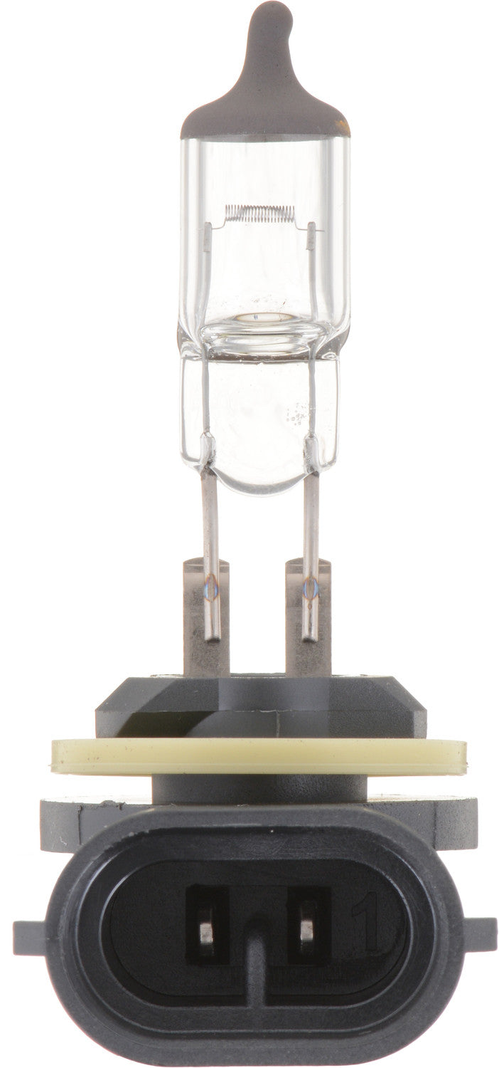 Philips Standard Fog Light Bulb 881 881B1 bulb