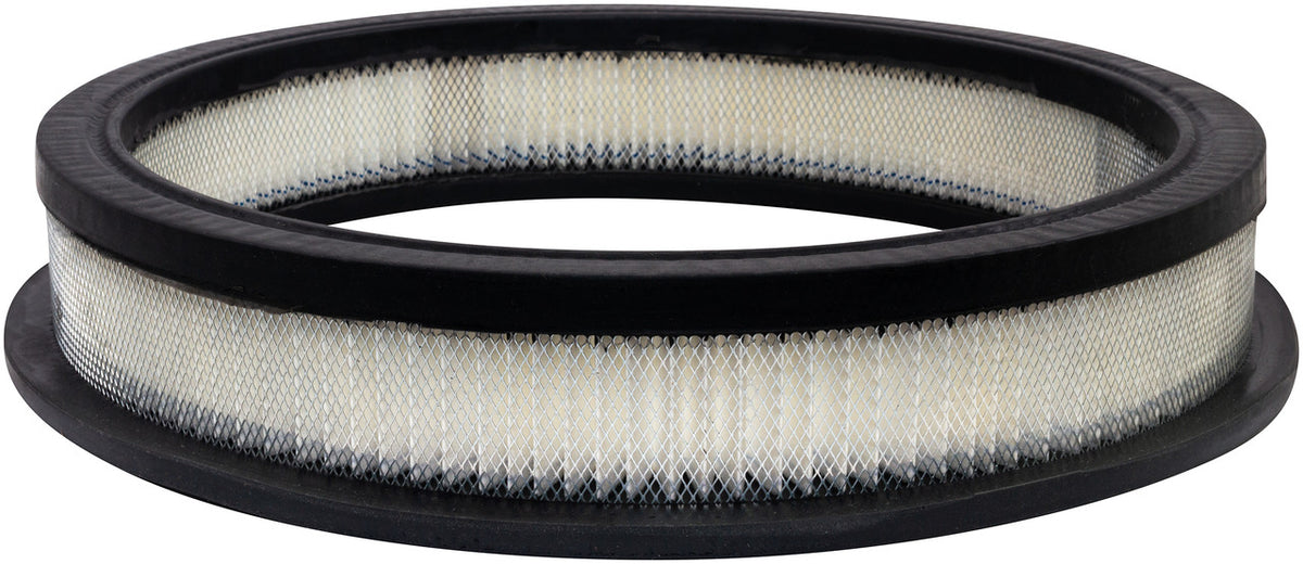 Baldwin Filters Air Filter PA10355